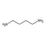Putrescine, &bsim;98%, MP Biomedicals&trade;